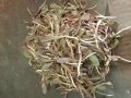 社區(qū)新鮮蔬菜團(tuán)購指南 便捷地址、聯(lián)系方式和營業(yè)時間一覽